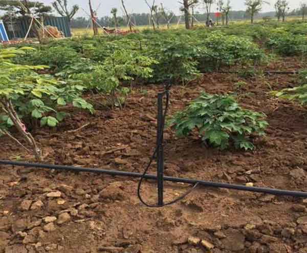 果园灌溉设备生产